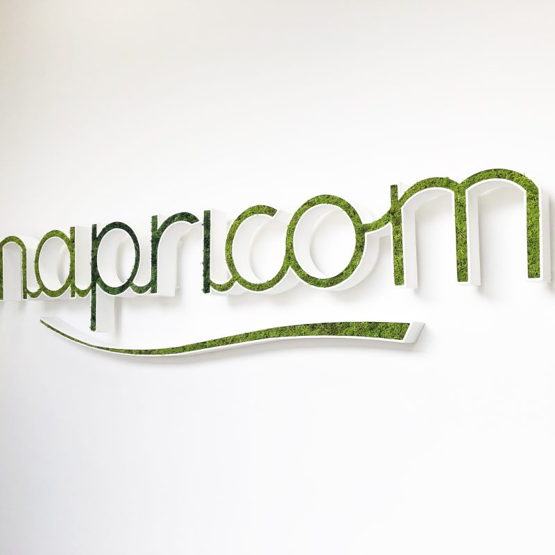 MAPRICOM LOGO