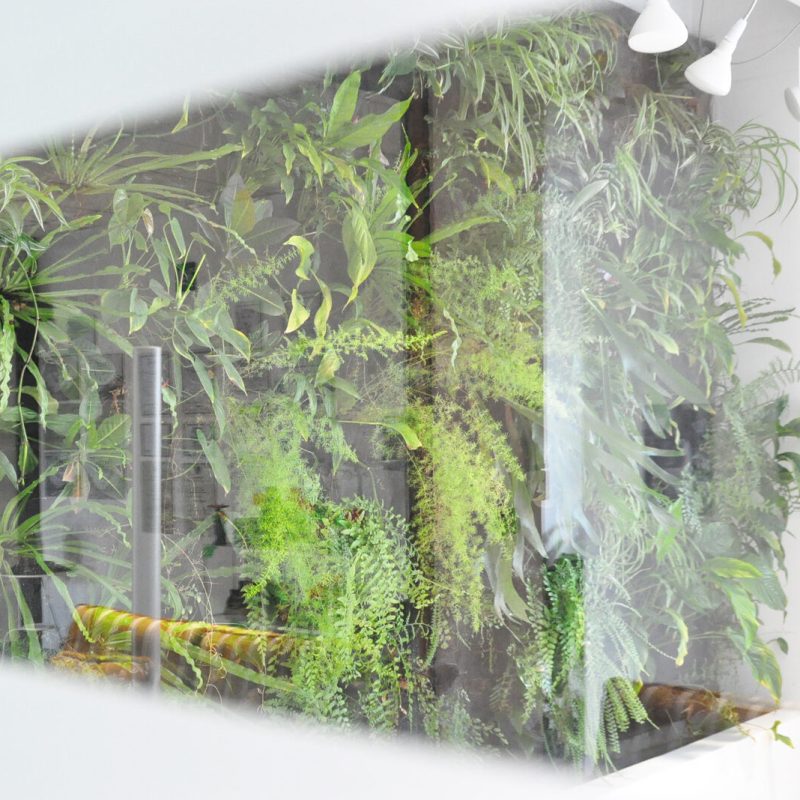 VG.2 INDOOR OUTDOOR OK